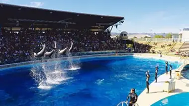 Révélations Dans les coulisses des parcs aquatiques