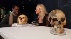 Révélations sur le Mary Rose