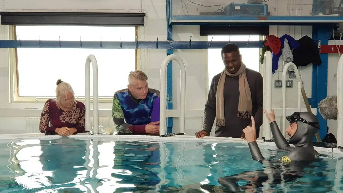 Révélations sur le Mary Rose