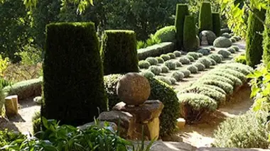 La Louve en Provence