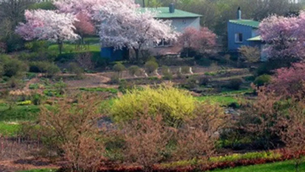Rêves de jardins E05 La dame en roses