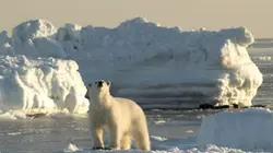 Visuel de Révolutions dans la nature