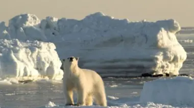 La fonte des glaces en Arctique