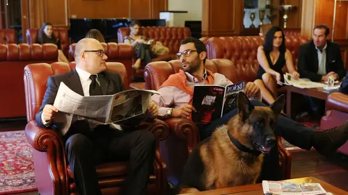 Rex S11E02 Calibre 7.65
