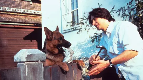 Rex Un match meurtrier (partie 2/2)