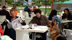 Rex S12E02 Mort au delphinarium