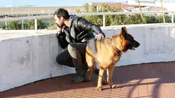 Rex S16E10 En morceaux