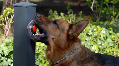 Entre la vie et la mort