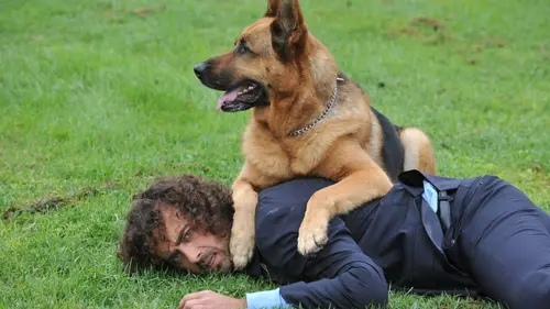 Rex S13E03 Six minutes d'avance