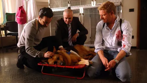 Rex S14E09 Une vie pour une vie