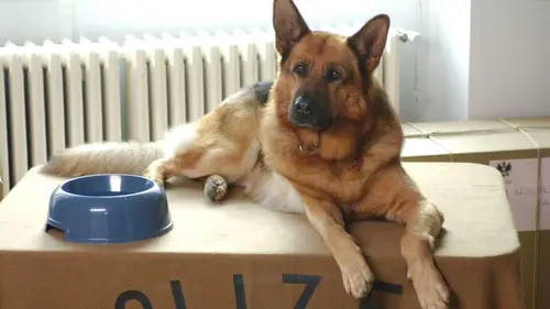 Rex S17E07 Le soldat du futur