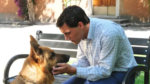 Rex S18E10 En quarantaine