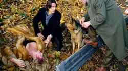 Visuel de Rex, chien flic