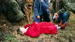 Visuel de Rex, chien flic