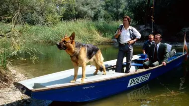 Un été meurtrier