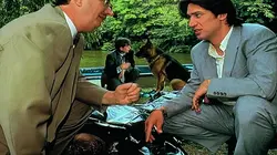 Visuel de Rex, chien flic