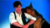 Rex, chien flic