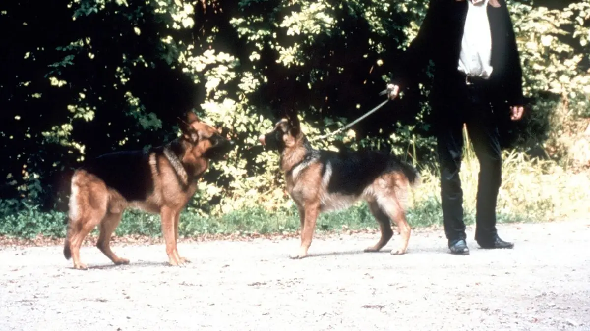 Rex, chien flic S04E13 Mission dangereuse