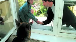Visuel de Rex, chien flic