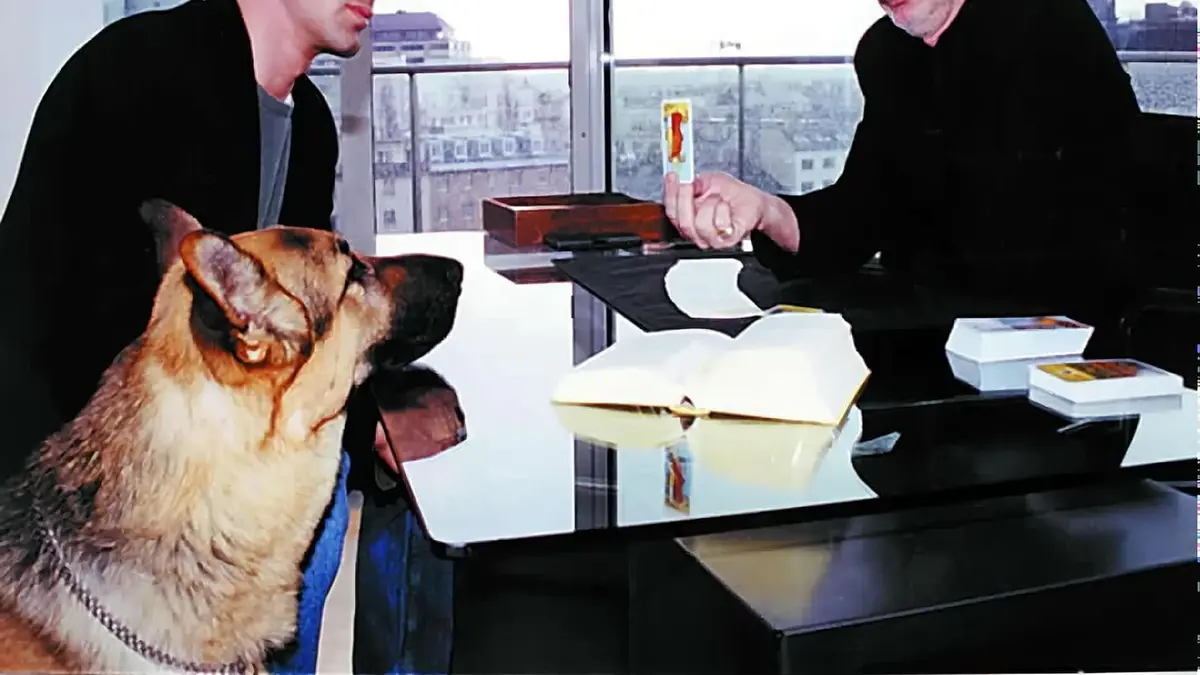 Rex, chien flic S06E07 Le secret des cartes