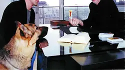 Visuel de Rex, chien flic
