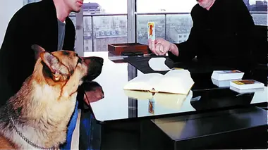Rex, chien flic