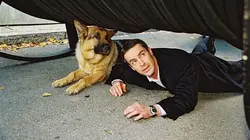 Visuel de Rex, chien flic