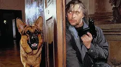 Rex, chien flic  S01E05 Danse au-dessus du volcan