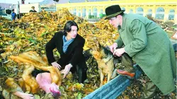 Rex, chien flic S01E06 La morte de Schönbrunn