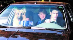 Rex, chien flic S05E11 Série noire