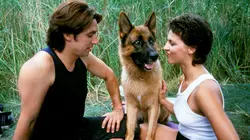 Rex, chien flic