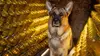Rex, chien flic S03E11 Meurtre à la carte