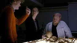 Richard III, la fin d'une énigme