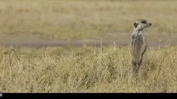 Richard Rasmussen et les animaux d'Afrique