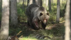 Richard Rasmussen : mission Amérique