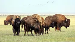 Richard Rasmussen : mission Amérique