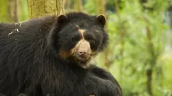 Richard Rasmussen : mission Amérique