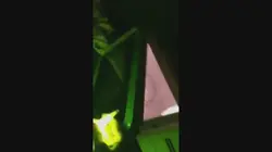 Ridiculous S29E31 Chanel et Sterling DCXXII