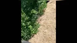 Ridiculous  S21E01 Lauren Riihimaki