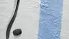 Rink-hockey Coupe de France