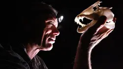 River Monsters Le tueur russe