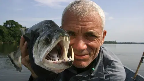 River Monsters Piranha