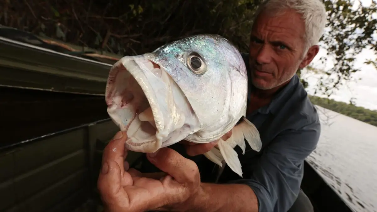 River Monsters Le monstre mangeur d'homme