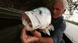 Visuel de River Monsters