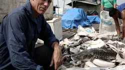 Visuel de River Monsters