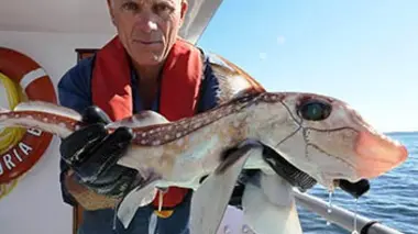 Prédateurs préhistoriques