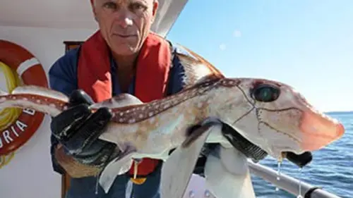 River Monsters E02 Prédateurs préhistoriques