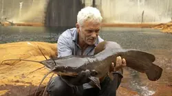 Visuel de River Monsters