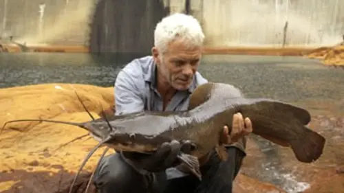 River Monsters E02 Le best of : Rencontres fatales