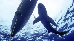 River Monsters Les tueurs des abysses